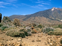 Los Roques Felsformationen unterhalb vom Teide : Vulkan, Felsen